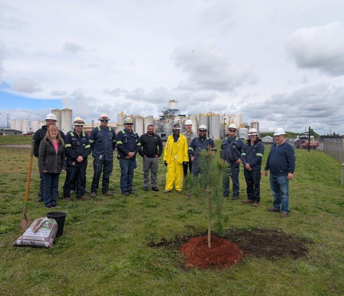 Growing Together: Eugene Team Puts Down Roots for the Future