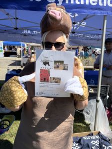 Armadillo Festival