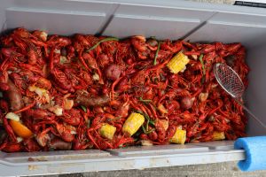 Crawfish